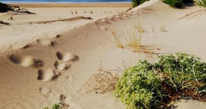 Villa hibiscus, sitrova only 100 meters from the free golden beach.