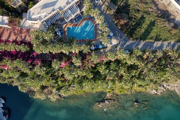 An aerial view of a resort with a swimming pool surrounded by palm trees and a beach area.