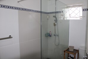 Hair dryer, bidet, towels, toilet paper