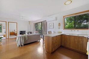 TV, fireplace, books