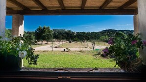 A view from a covered outdoor area with a wooden ceiling, looking out over a grassy landscape with trees and hills in the distance. - Peaceful country house few minutes from the sea (Sardegna)