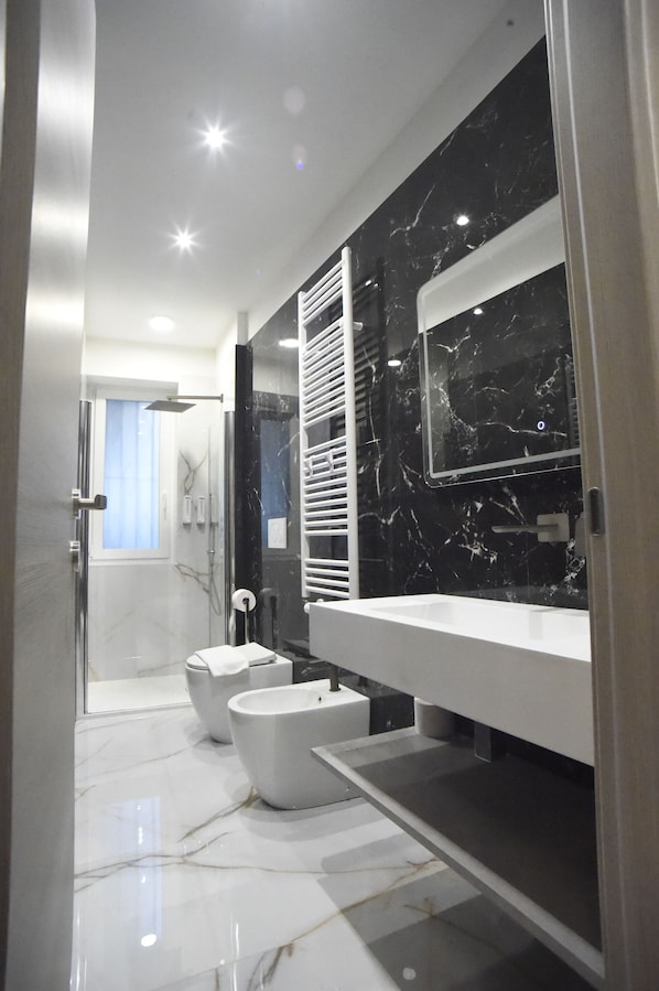 Shower, hair dryer, bidet, towels