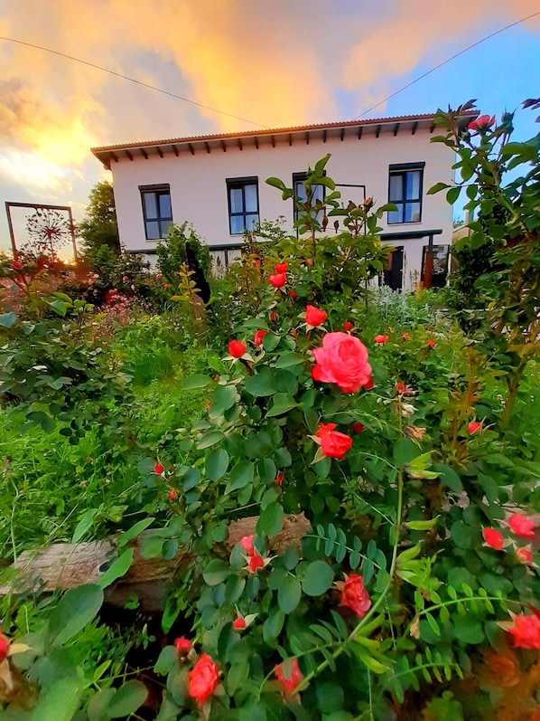 A white building with multiple windows and a garden with red roses.