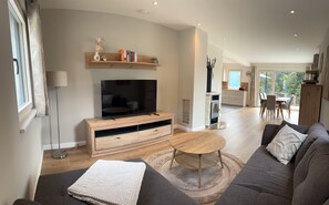 Fernseher, Kamin