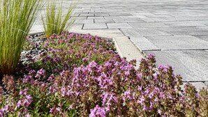 A modern two-story house with a wooden facade and white lower section, surrounded by a paved driveway and flowering plants. - Holiday Home 'Almrausch' with Lake View, Private Terrace and Wi-Fi (Bodensdorf)
