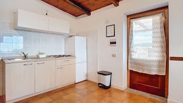 Fridge, stovetop, cookware/dishes/utensils, spices