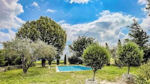 Ein Pool, umgeben von Bäumen und Gras.