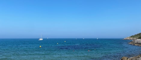 Ranta