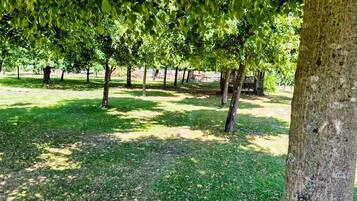 A park with trees and grass.