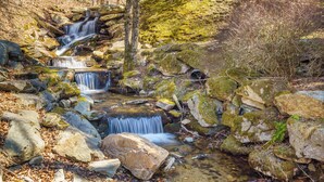 A natural waterfall with multiple cascades surrounded by rocks and moss. - 5 Mins to Ski Slopes & Restaurants Charming Beech Mountain Chalet 2BR + Loft (Beech Mountain)
