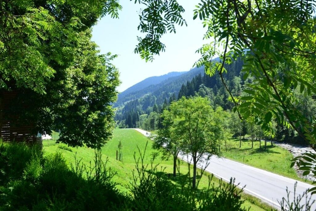 A road through a green landscape with trees and hills in the background.