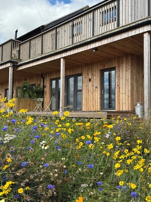Exterior detail - SUPERIOR ACCOMMODATION WITH BREATHTAKING COUNTRYSIDE VIEWS (Glanton)