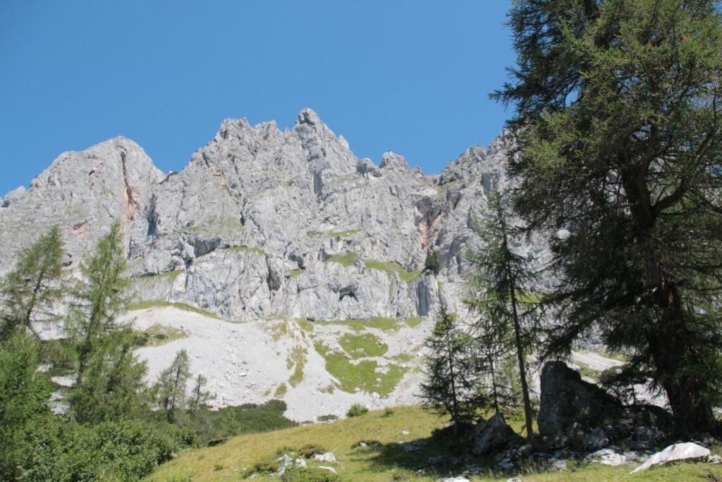 منوع