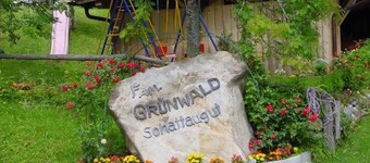 Schattaugut: Apartment with Mountain View