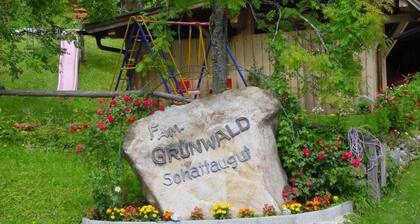 Schattaugut: Apartment with Mountain View