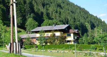 Schattaugut: Apartment with Mountain View