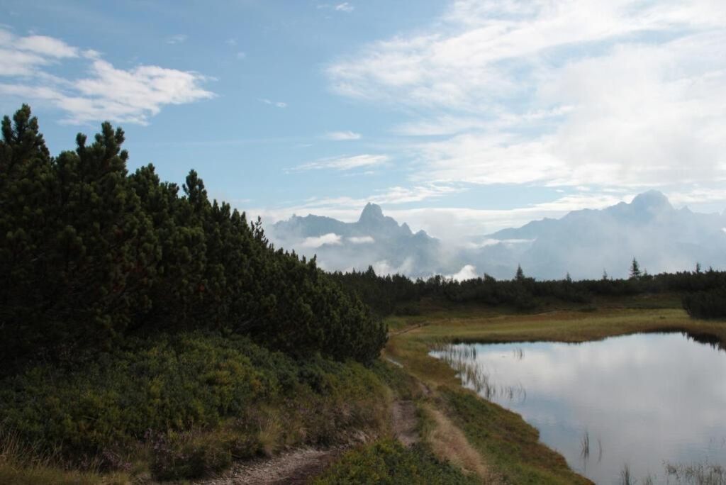 Cena tranquila à beira de um lago, com área arborizada e céu limpo.
