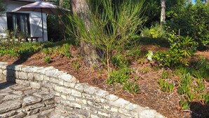 Property grounds - Villa on the tip of the CAP FERRET peninsula (CAP FERRET)