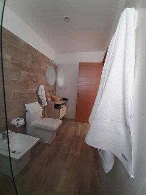 Shower, hair dryer, bidet, towels