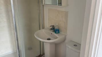 Shower, towels, toilet paper