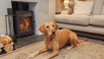 Cottage | Living area