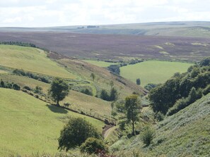 Miscellaneous - Woodedge (Minehead)