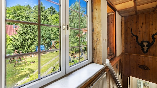 A room with a large window, wooden walls, and a bull's head decoration.