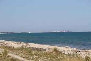 Ranta