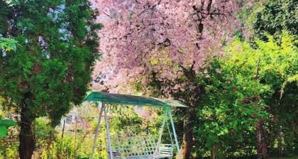 Amanda Green Heritage 3BHK near Kainchi Dham