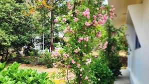 Un jardín con follaje verde y flores rosas, un banco amarillo y un edificio blanco al fondo.