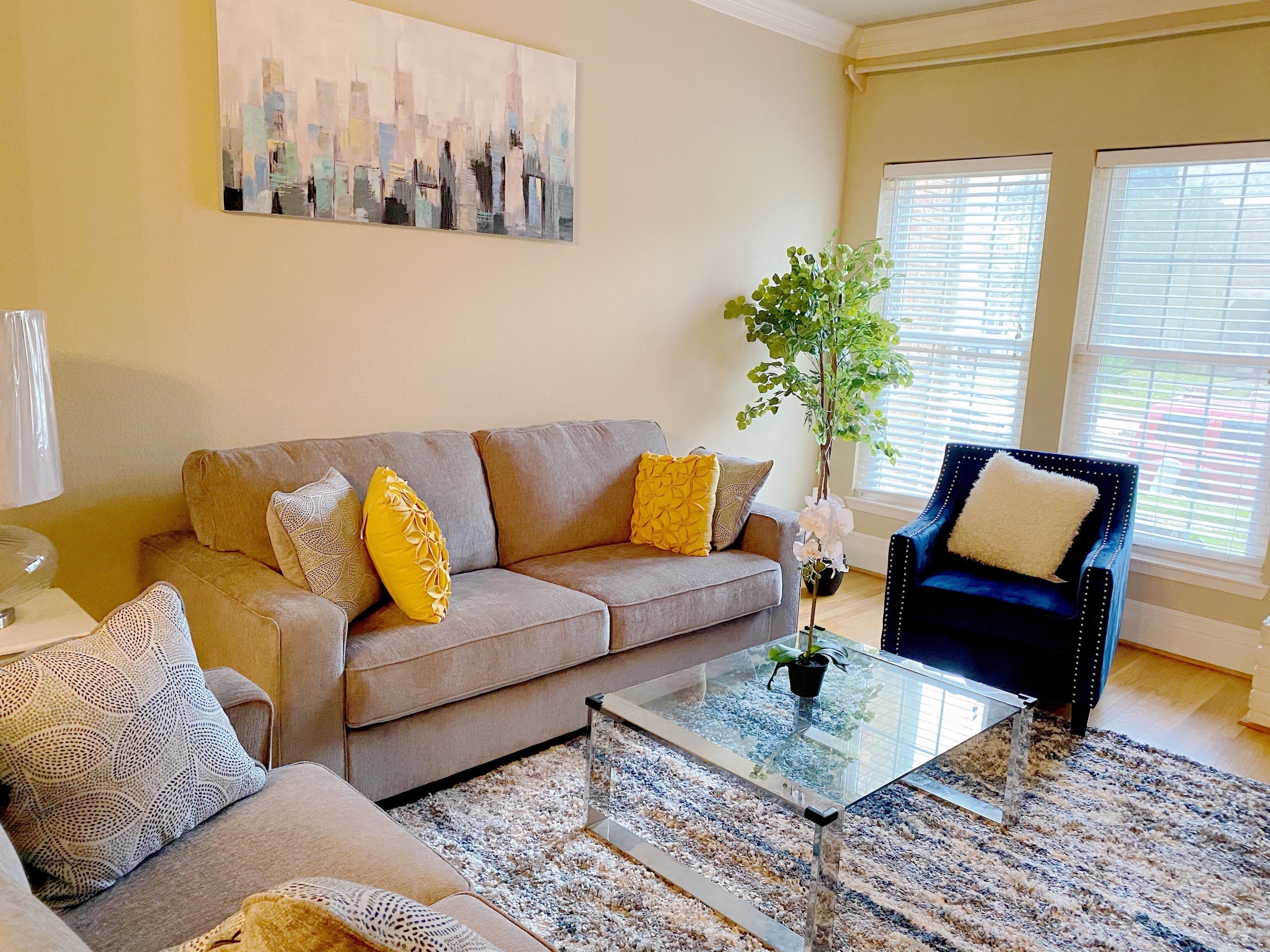 Smart TV, lareira, livros