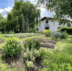 A garden with various plants and a white building with a chimney.