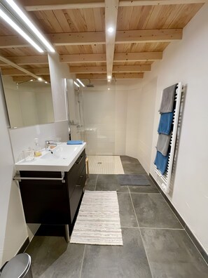 Shower, hair dryer, towels