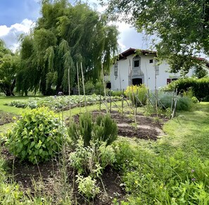 Terrein van de accommodatie