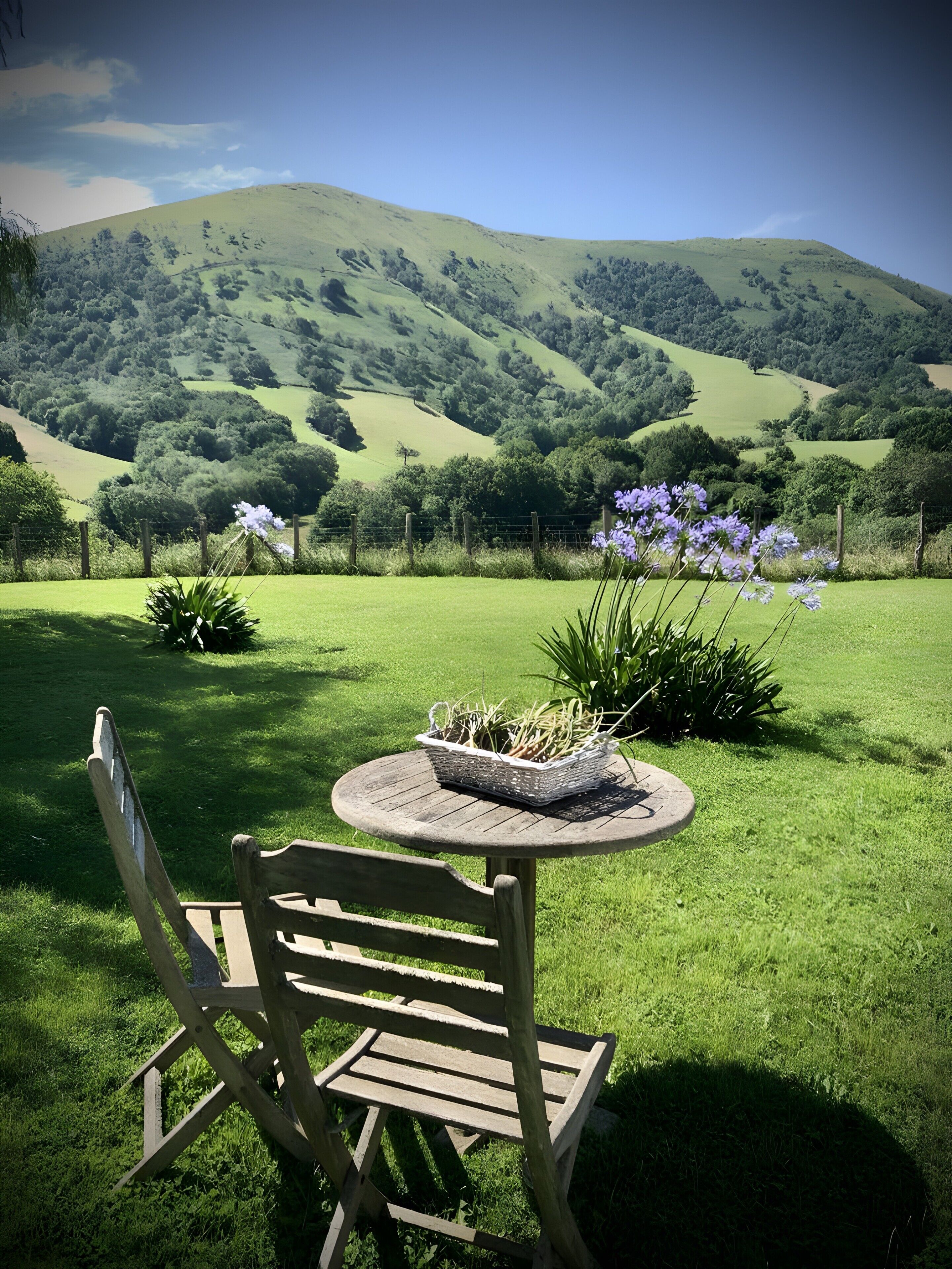 A table with a basket of plants and a chair in a grassy area with a view of rolling hills.