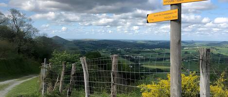A wooden signpost with directional arrows, a grassy path, and a wire fence.