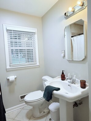 Hair dryer, towels, soap, toilet paper