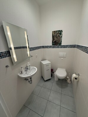 Haartrockner, HandtĂŒcher, Seife, Toilettenpapier