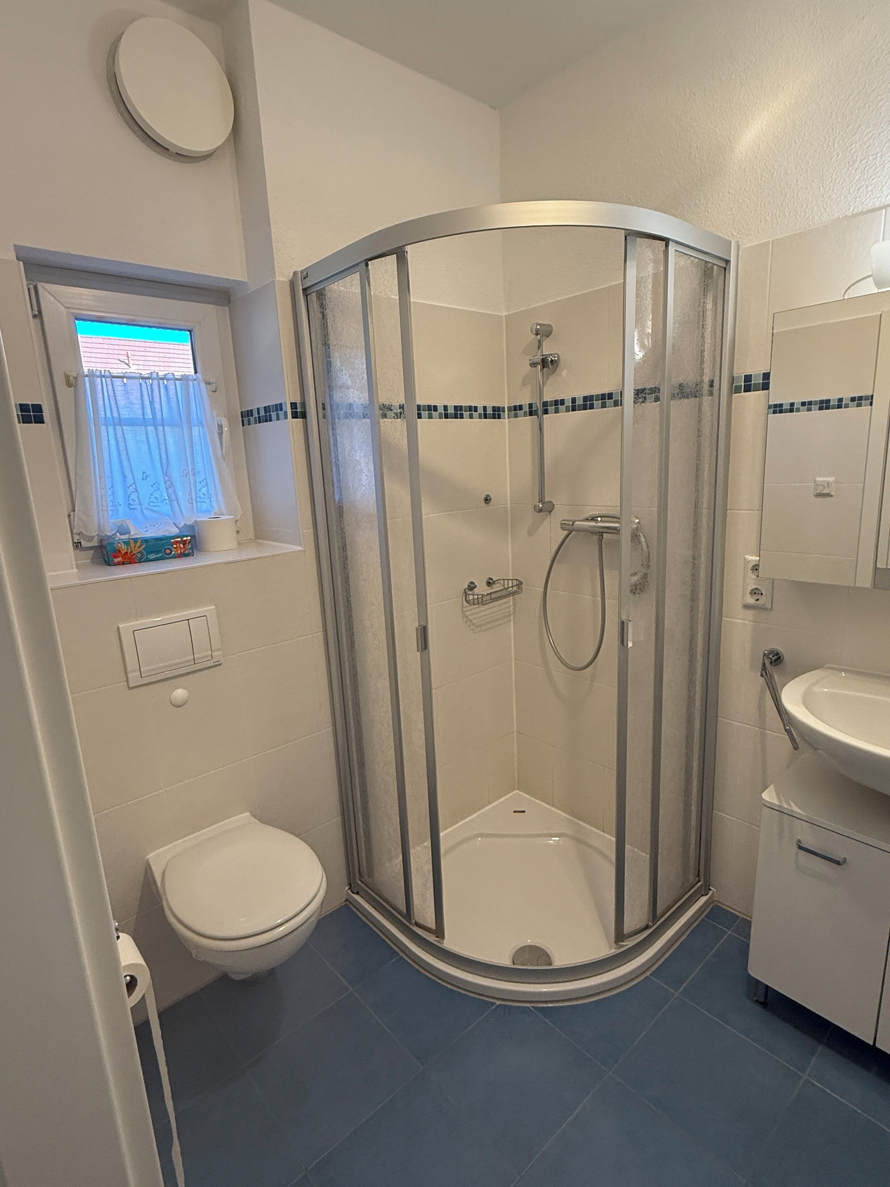 A modern bathroom with a glass shower enclosure, a toilet, and a sink.