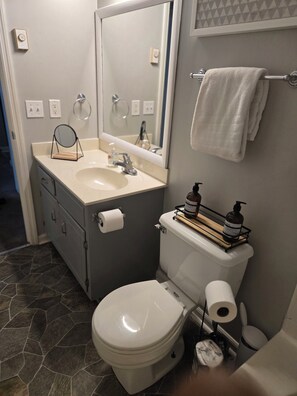 Sèche-cheveux, serviettes fournies, savon, papier toilette