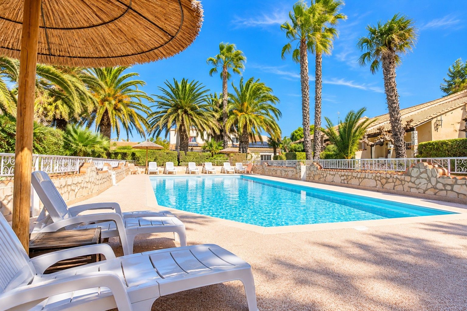 Une piscine avec des chaises longues et des palmiers.