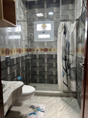 Ducha, bidet, toallas, papel higiénico