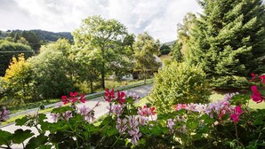 A road with greenery and trees in the background. - Apartment 3 with Shared Garden, Balcony and Wi-Fi (Todtmoos)
