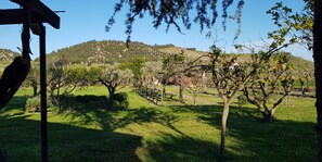 Property grounds - La Mandragola Relais - Il Torchio 1 (Crotone)