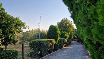 Terrein van de accommodatie