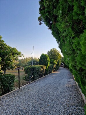 Jardines del alojamiento