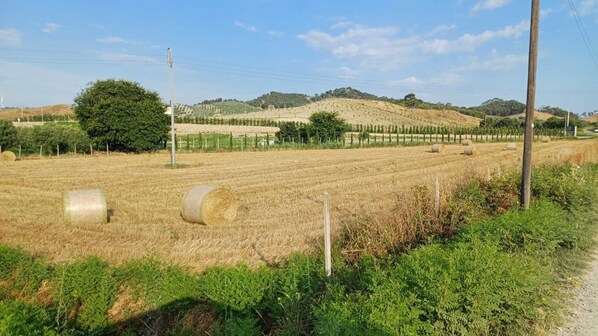 A rural landscape with fields, hay bales, and a distant hill.