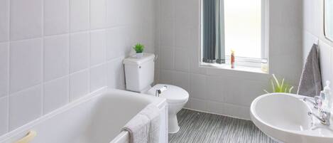 Hair dryer, towels, toilet paper