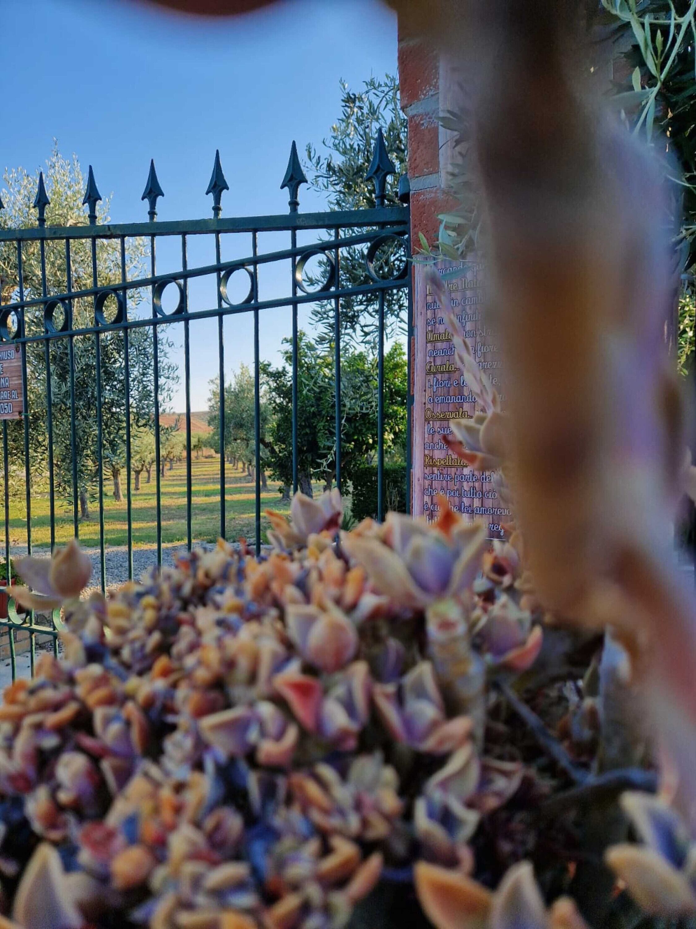 Parco della struttura