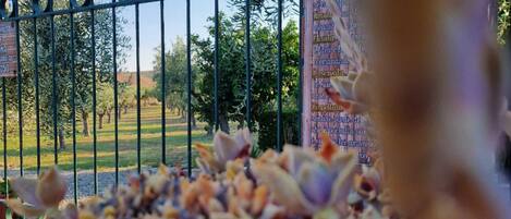 Parco della struttura